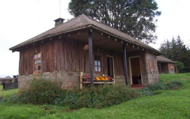 Castle Forest Lodge