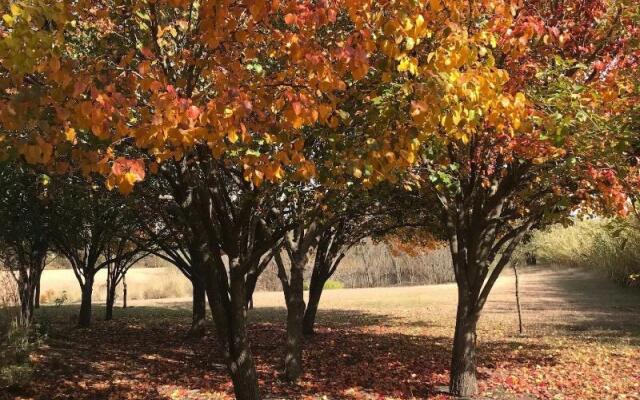 The Plantation House Boutique Inn