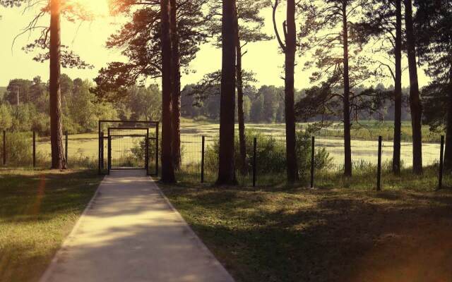 Сибирская здравница