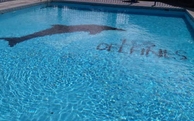 Departamento Los Delfines