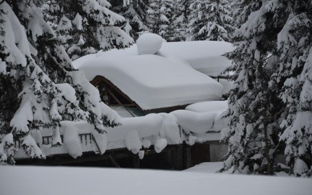 Ayder Avusor Butik Otel