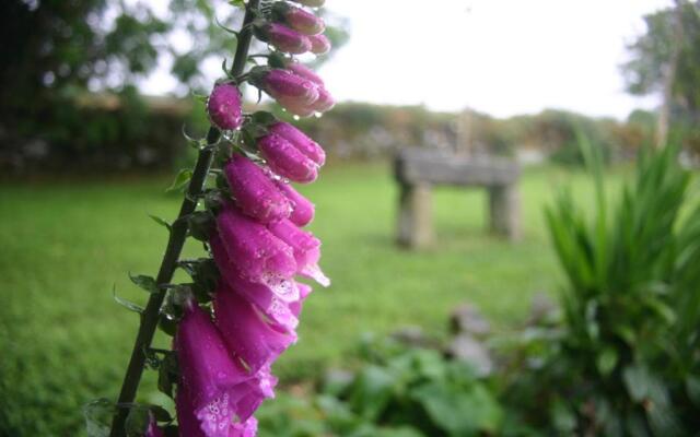 Wicklow Way Lodge