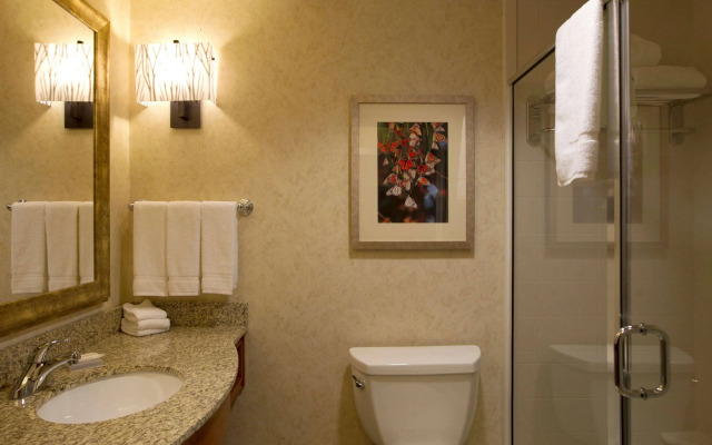 Hilton Garden Inn Cedar Falls