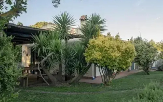 Agriturismo le colline di Capalbio