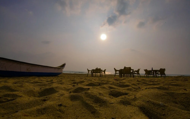 Casuarina bay