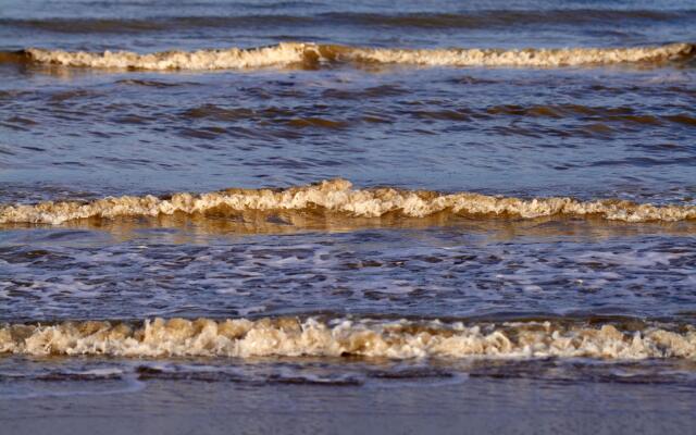 Snug Holiday Home in Nieuwvliet near Beach & Nature Reserve