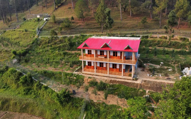 Cortland Jungle Resort