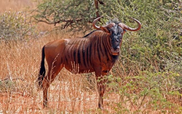 Rocky Hollow Guest Farm