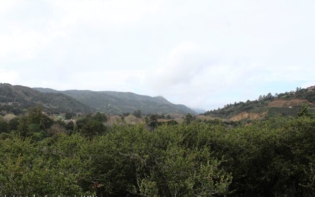 The Nest in Carmel Valley