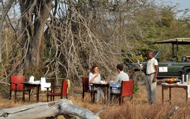 Selous Serena Camp