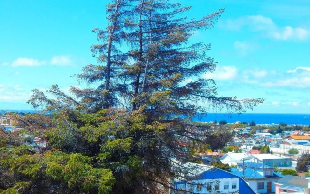 Hosteria Las Torres Punta Arenas