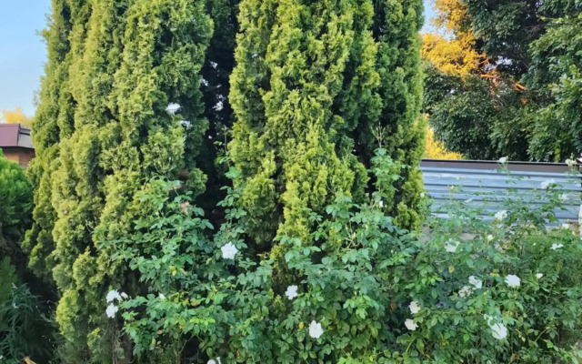 Schnehage Self Catering