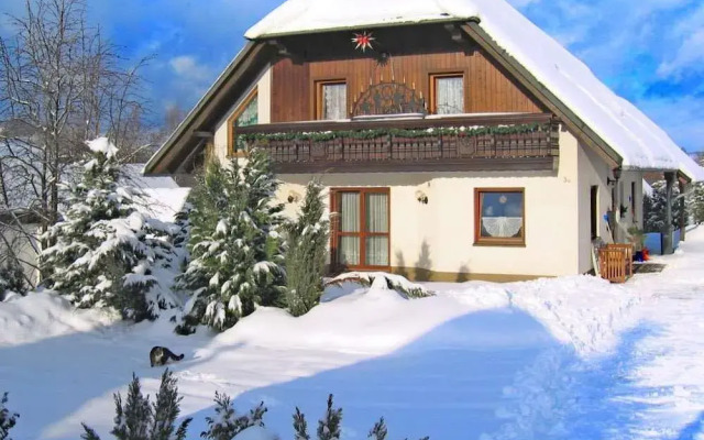 Beautiful Apartment in Pohla Saxony near Ski Area