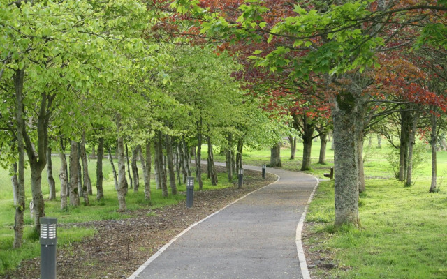 Palmgrove Bed & Breakfast