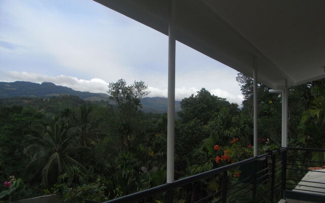 Rainforest Lodge