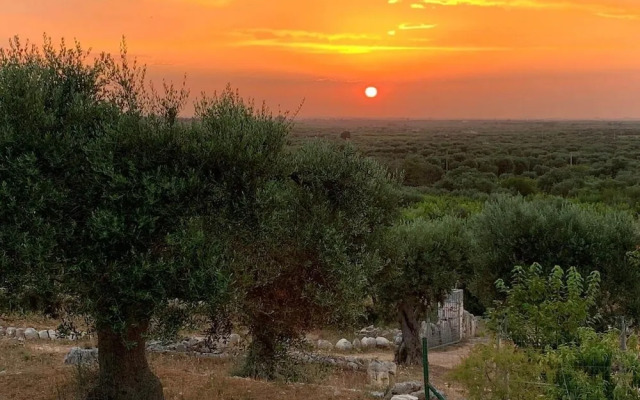 Agriturismo Monte Adamo