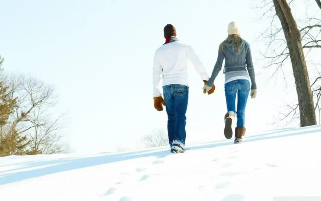 Bakuriani Hills Apartment