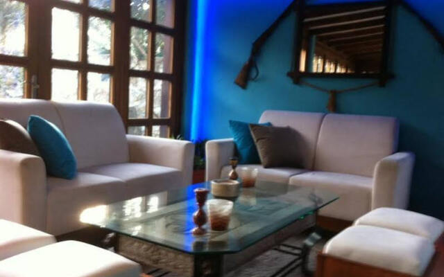 Olive Tree Studio