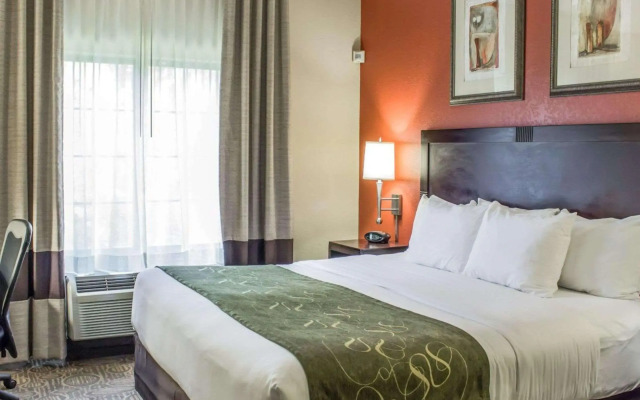 Comfort Suites Regency Park