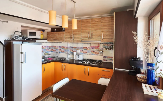 Apartment Poiana Stechil