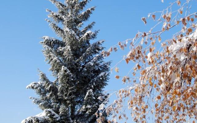 Landhotel Strasserwirt