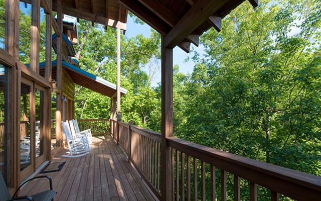 Bear Pause by Vtrips