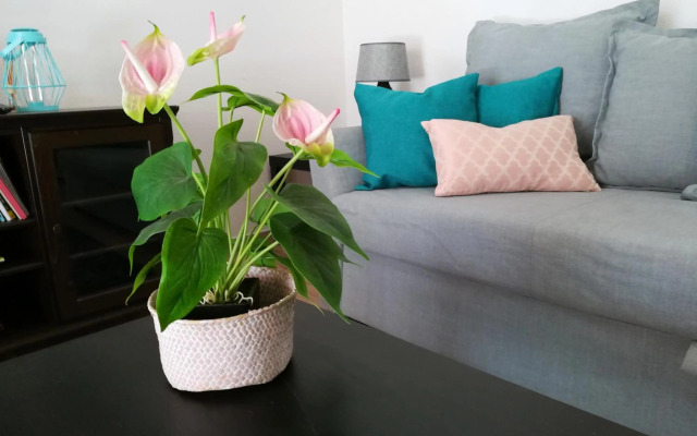 Inema Beach House Iberlagos