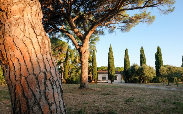La Canova