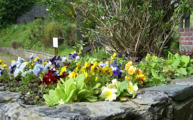 The Ivy Barn B&B