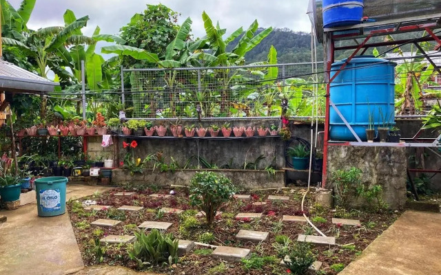 Dagdag Village Homestay - Sagada