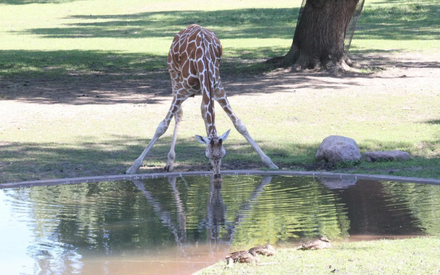 Hampton Inn Sioux Falls