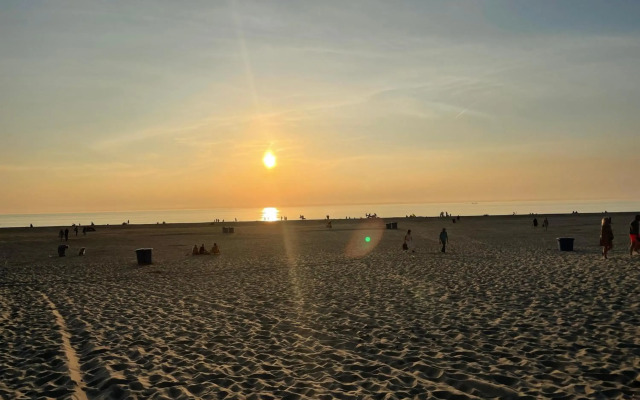 The Forester Schoorl