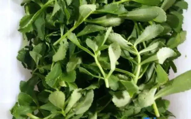 Mengyin Yuyuan Homestay