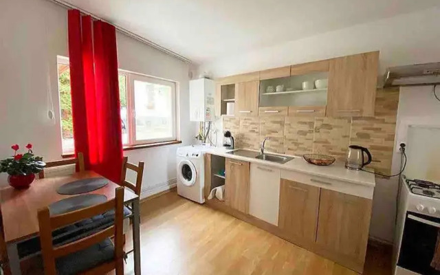 House Apartment in Timisoara