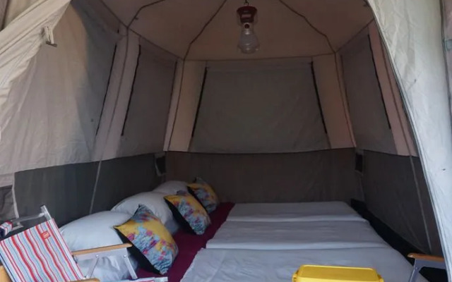 Singha Park Chiang Rai Camping