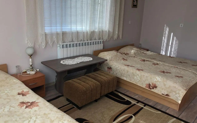 Vasilevi House