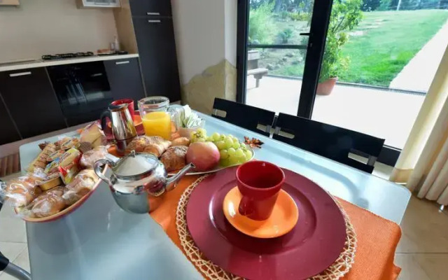 OLYMPUS PARK amnesia