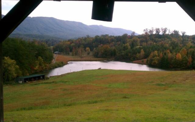Misty Meadow Farm & Cabin