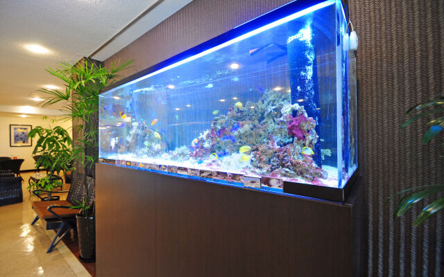 Lit Hotel NAKIJIN