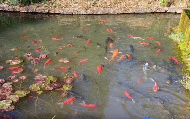 Lijiang junayuanzhu Homestay