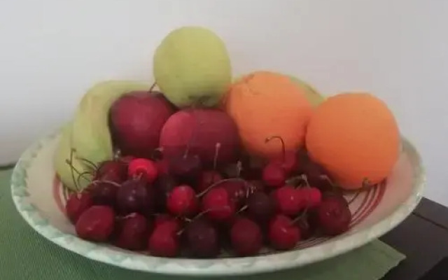 Il Gelsomino Bed & Breakfast