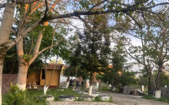 kopitnari