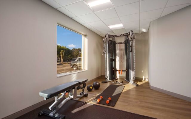 Spark by Hilton Destin