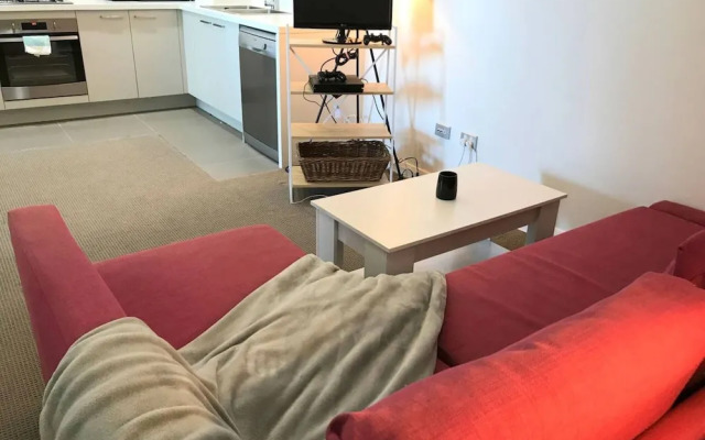 Modern Inner West Apartment With Balcony