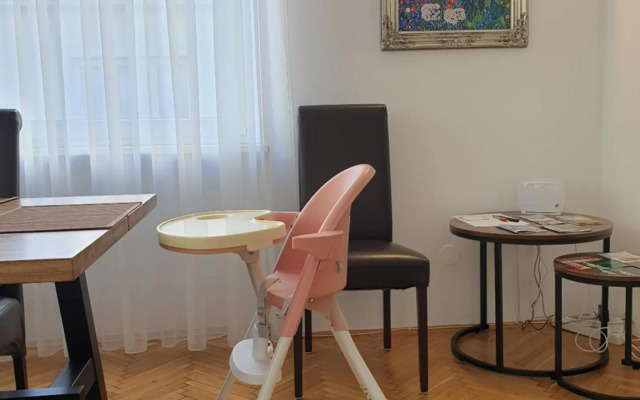 Sunny and spacious apartment near city centre