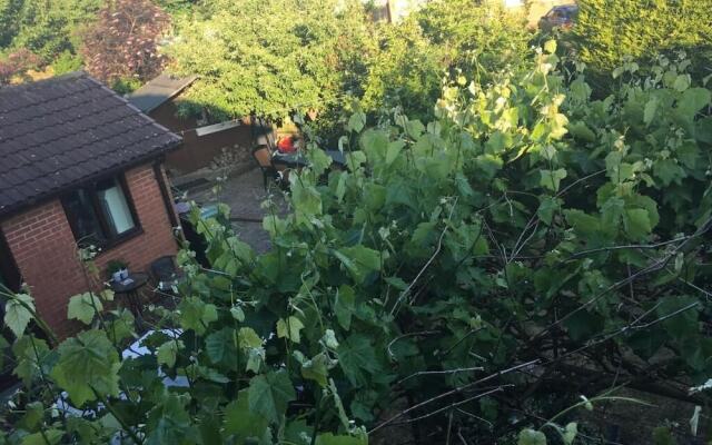 The Cedars House B&B