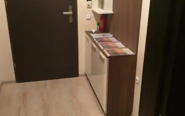 Super Central Luxury Apartments