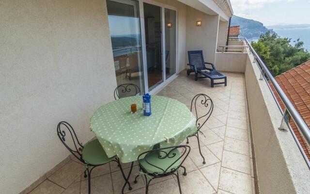 Apartments Simic