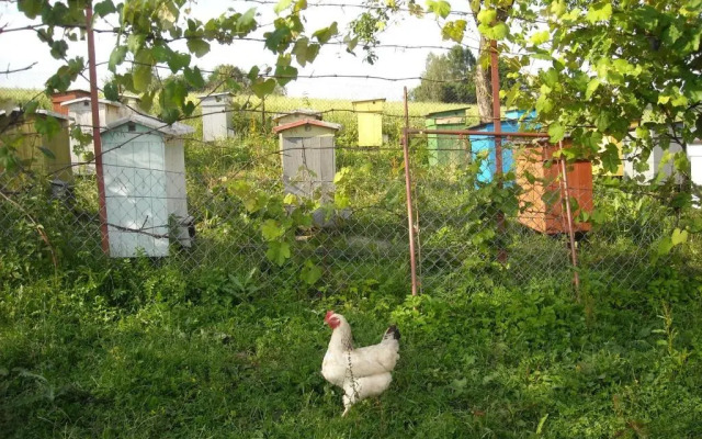 Wczasy od Maluszka do Staruszka