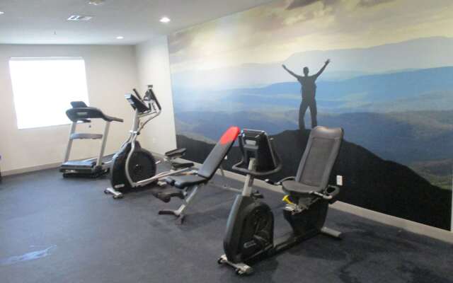 Best Western Plus Killeen/Fort Cavazos Hotel & Suites